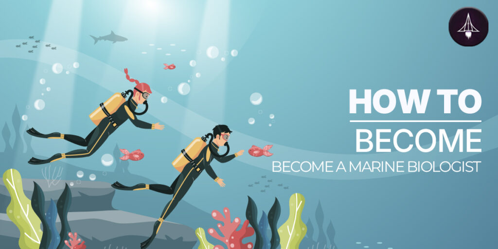 How to Become a Marine Biologists