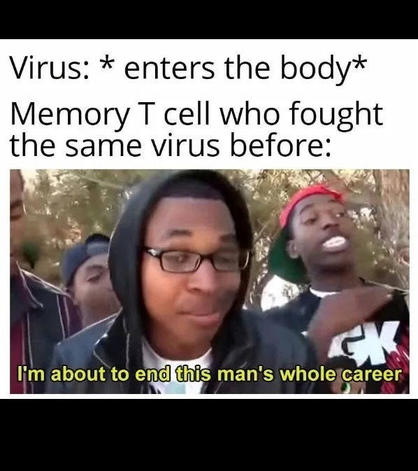 HMPV Virus